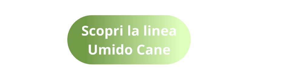 Scopri la linea di cibo umido dedicata al cane di Aniwell