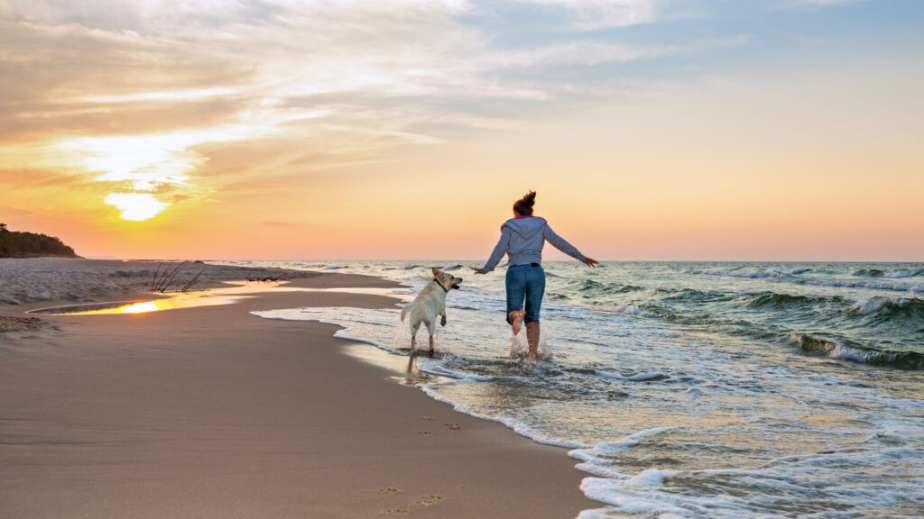 Trascorrere il weekend di Pasqua in riva al mare o al lago può essere una magnifica idea, soprattutto se il tuo cane ama giocare nell’acqua e fare lunghe corse sulla sabbia.