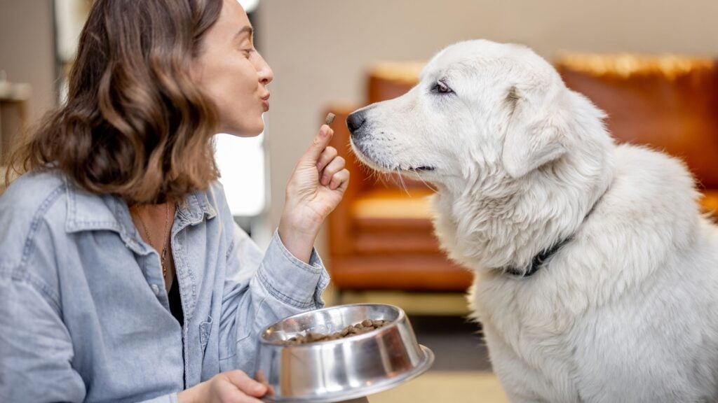 Acquistando pappe e crocchette Aniwell avrai sempre la sicurezza di portare nella ciotola del tuo cane un cibo naturale, un’alimentazione buona e sicura, di cui ti puoi davvero fidare.