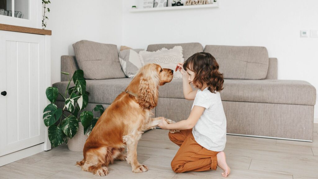 Il passaggio di cibo può diventare uno strumento fondamentale per l’addestramento del cane.