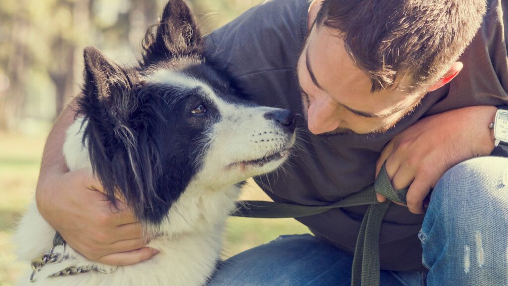 La fiducia è fondamentale: Il tuo cane deve fidarsi di te, e deve sapere che tu ti fidi di lui.