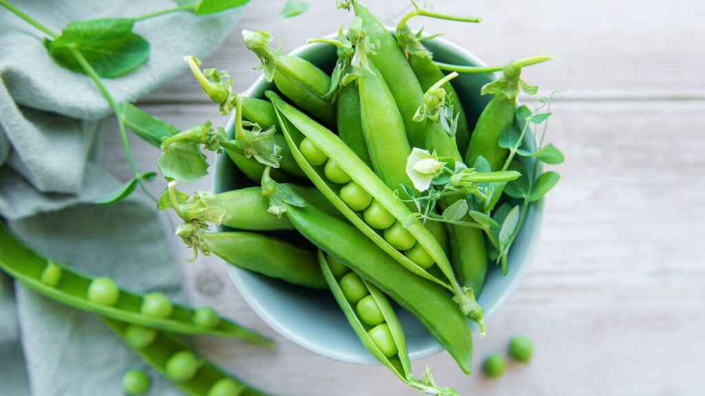 I piselli sono legumi atipici: hanno una percentuale di amido minore rispetto agli altri e hanno pochissime calorie. Ciò li rende più facilmente digeribili, e dunque perfetti per la dieta dei nostri amici a quattro zampe.