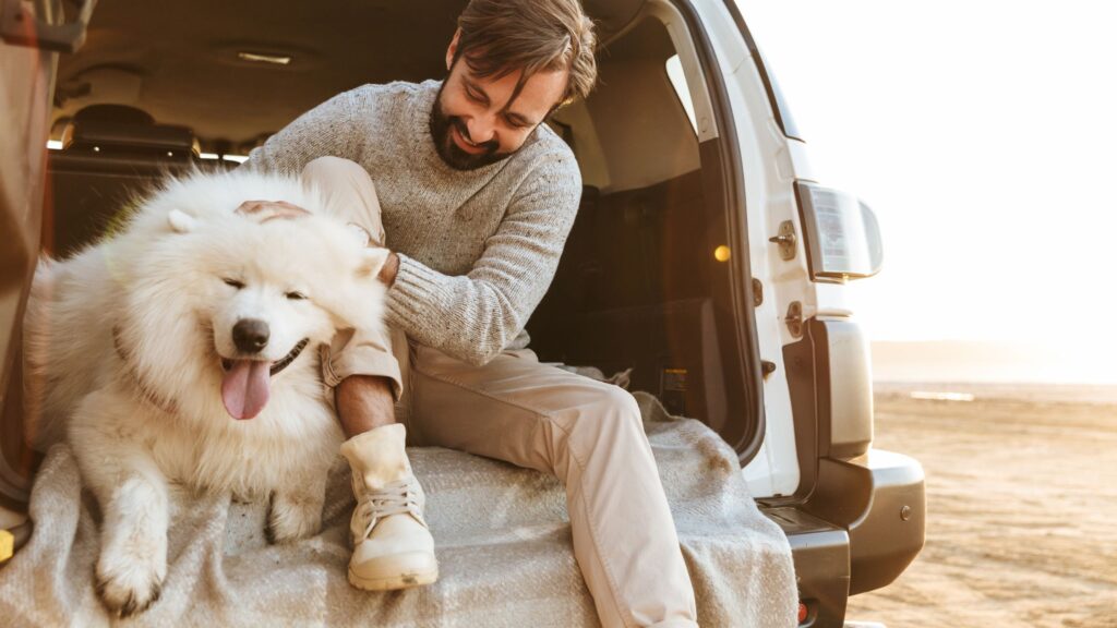 Abitua il tuo cane a spostamenti e trasferte in auto, prima di intraprendere un lungo viaggio.