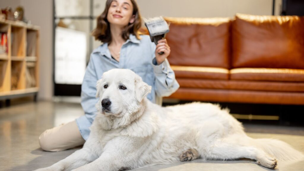 Spazzola spesso il pelo del tuo cane, soprattutto in estate. E' un ottimo rimedio contro il caldo.