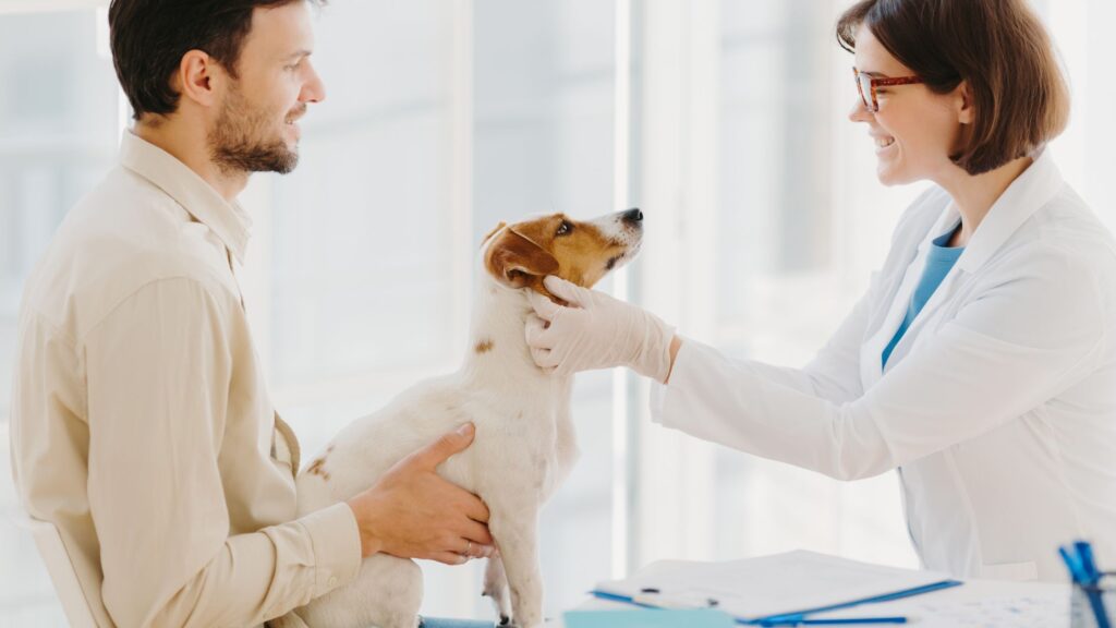 In caso di intossicazione, rivolgiti subito al tuo veterinario di fiducia.