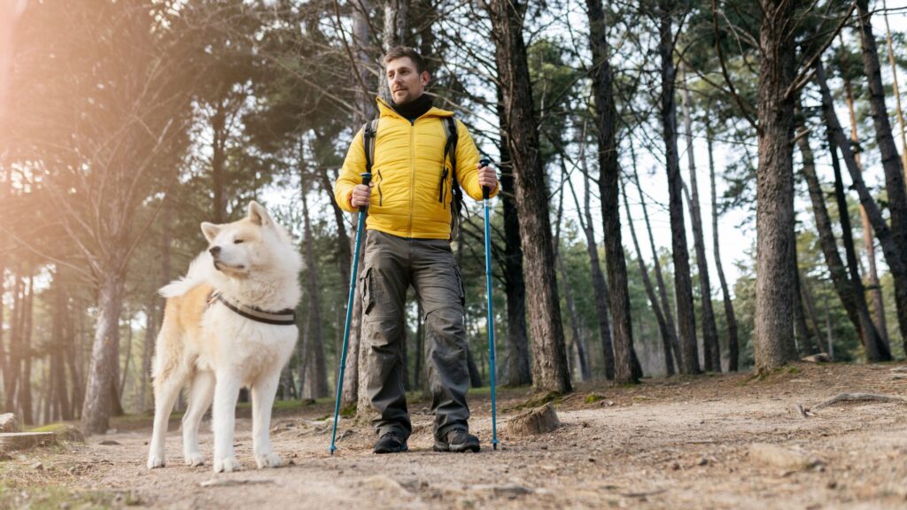 Quando passeggi nei boschi con il tuo cane ricorda di rispettare l’ambiente e i suoi abitanti.