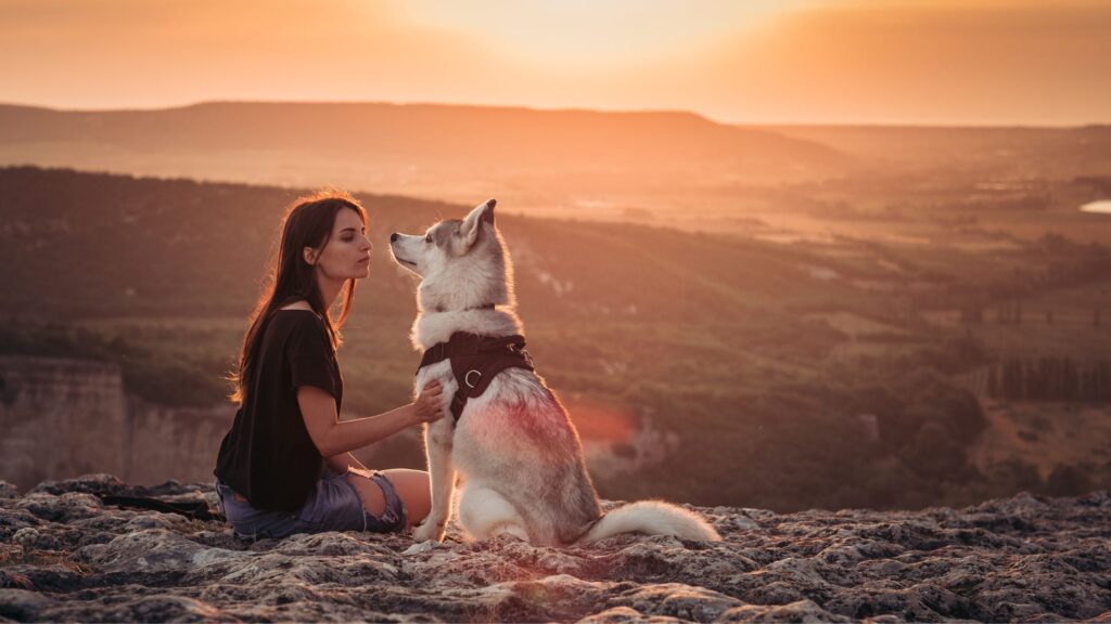 Approfitta di queste ultime giornate estive per stare in compagnia del tuo cane.