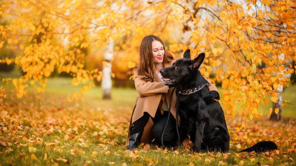 Cani E Parassiti Autunnali Scopri Quali Sono I Più Pericolosi E I Migliori Consigli Per 0558