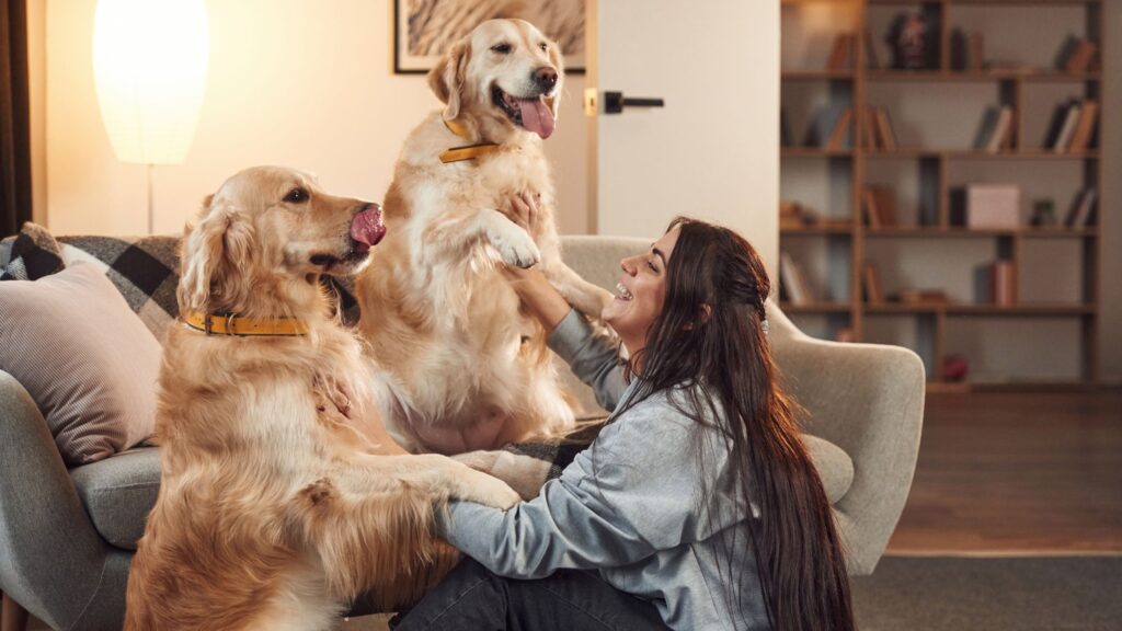 Se il tuo cane ha paura del temporale, non lasciarlo solo.