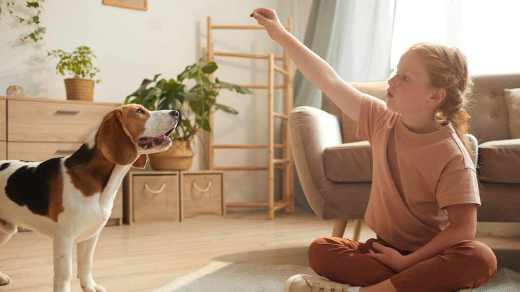 Se il tuo cane ha paura del temporale, aiutalo a distrarsi!