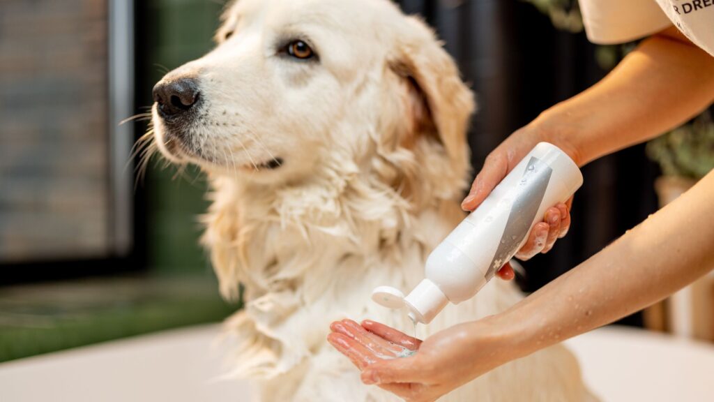 Lo Shampoo igienizzante per cani Aniwell è un’ottima soluzione, naturale e delicata, per il bagnetto dei cani di tutte le razze e le età.