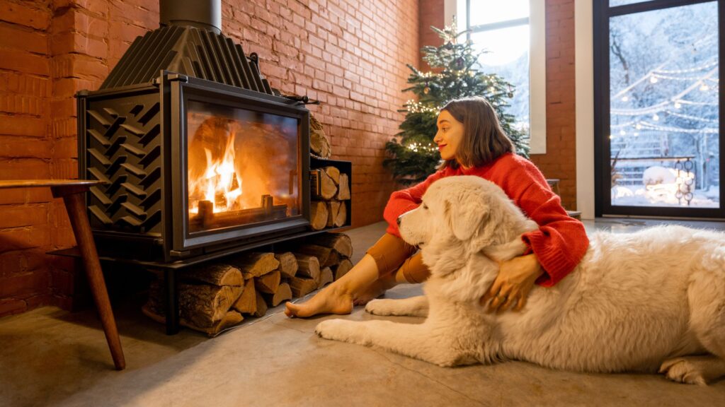 Se il tuo cane ha paura dei botti non lasciarlo solo a casa la notte di Capodanno.