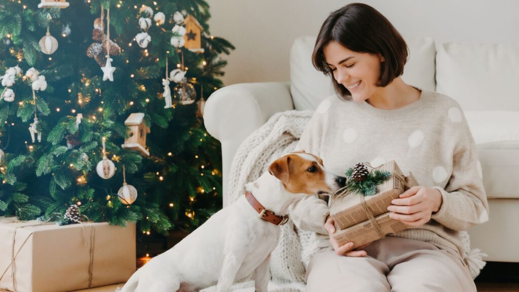 Sgridare il tuo cane non appena si avvicina all’albero o al presepe non servirebbe a nulla, meglio anzi lascialo avvicinare. 