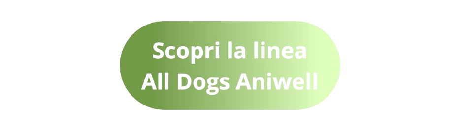 Scopri la linea All Dogs