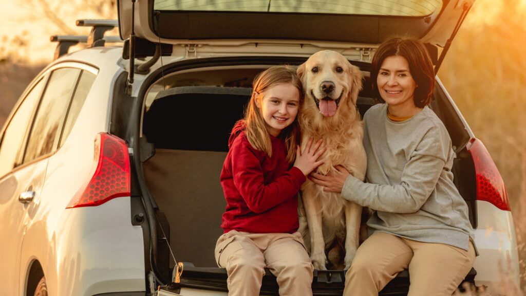 Per organizzare il viaggio in auto perfetto in compagnia del tuo cane prepara prima tutto il necessario.