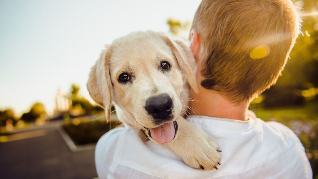 Linguaggio tra uomo e cane: 3 consigli per comunicare con il tuo amico a quattro zampe